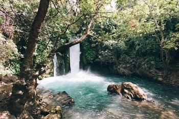 Free Photo of nature, water, waterfalls