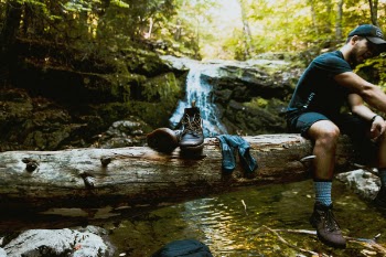 Free Photo of nature, woods, forest