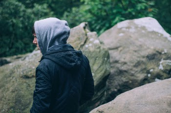 Free Photo of nature, woods, rocks