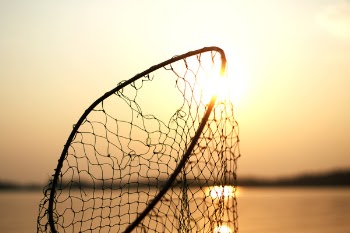 Free Photo of net, fishing, steel