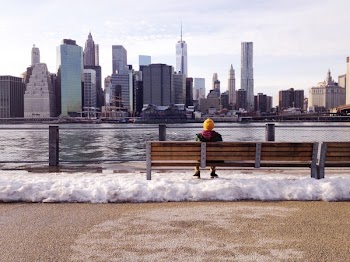 Free Photo of new york, city, buildings