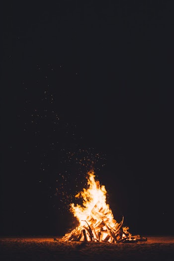 Free Photo of night, bonfire, fire