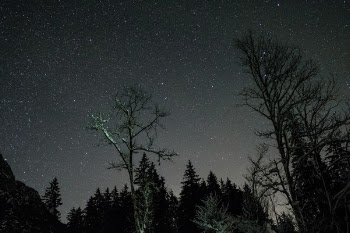 Free Photo of night, dark, astrophotography