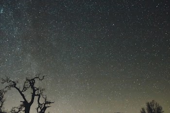 Free Photo of night, sky, stars