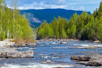 Free Photo of norway, forest, Mountains