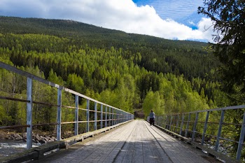 Free Photo of Norway, forest, mountian