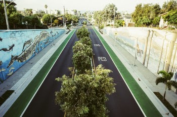 Free Photo of ocean park, road, street
