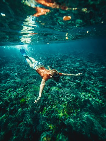 Free Photo of ocean, snorkeling, travel