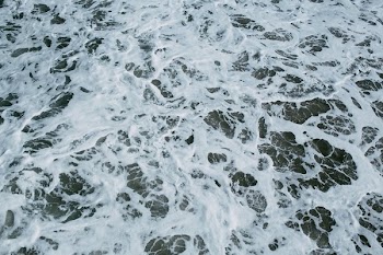 Free Photo of ocean, water, close up