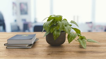 Free Photo of office, work, business