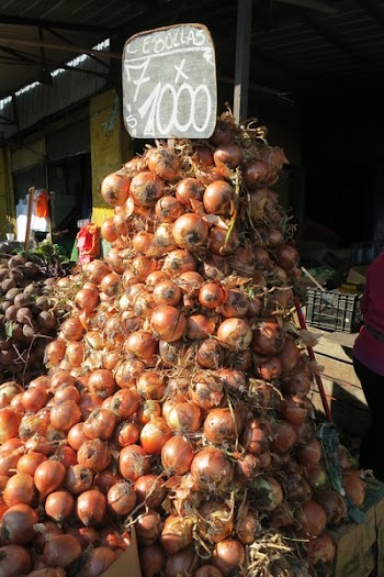 Free Photo of onions, vegetables, food