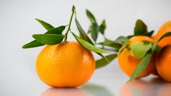 Free Photo of orange, fruit, table
