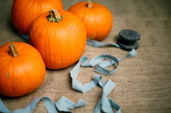 Free Photo of orange, winter, squash