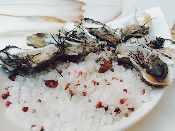 Free Photo of oysters, seafood, shells