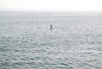 Free Photo of paddle, board, people