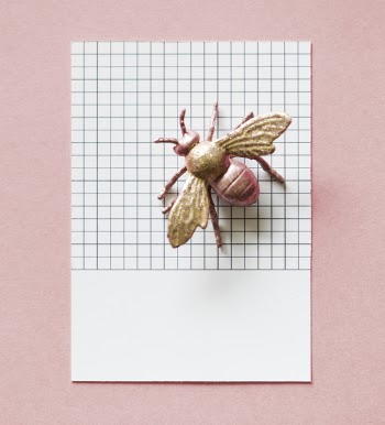 Free Photo of paper, abstract, bug
