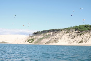 Free Photo of parachutes, paragliding, blue