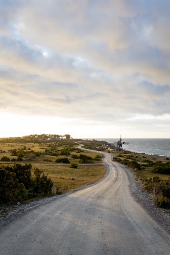Free Photo of path, road, green