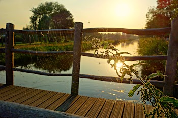 Free Photo of pathway, bridge, wood