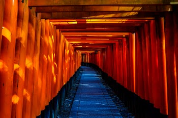 Free Photo of pathway, tunnel, pattern