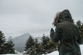 Free Photo of people, back, hoodie