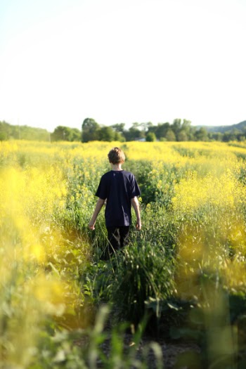 Free Photo of people, boy, nature
