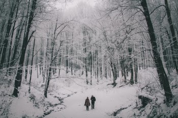 Free Photo of people, couple, travel
