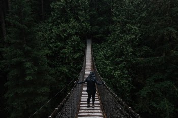 Free Photo of people, dark, bridge