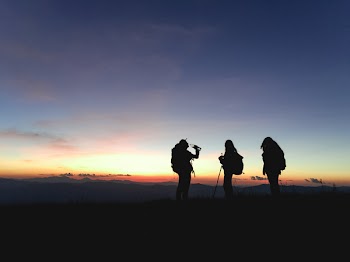 Free Photo of people, friends, woman