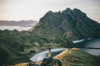 Free Photo of people, girl, alone