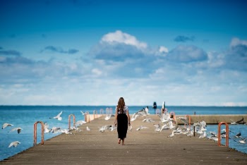 Free Photo of people, girl, walking