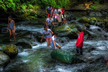 Free Photo of people, girls, guys