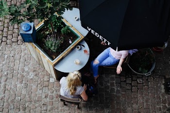 Free Photo of people, girls, talking