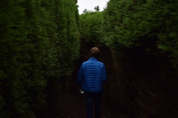 Free Photo of people, guy, alone