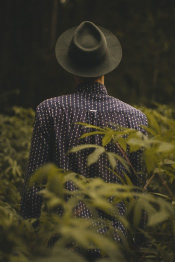 Free Photo of people, guy, man