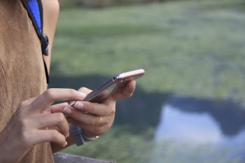 Free Photo of people, guy, mobile