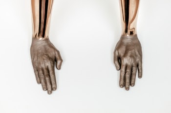 Free Photo of people, hands, brown