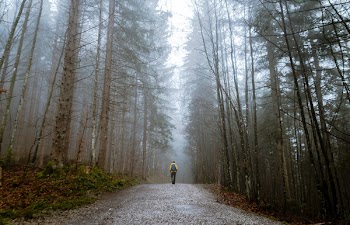 Free Photo of people, man, alone