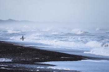 Free Photo of people, man, alone