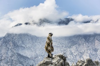 Free Photo of people, man, alone