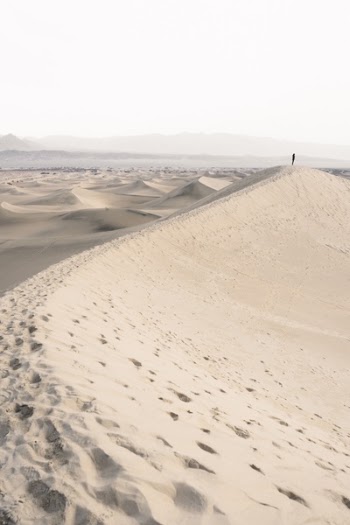 Free Photo of people, man, alone