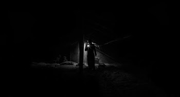 Free Photo of people, man, alone