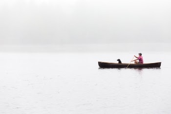 Free Photo of people, man, dog