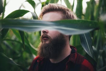 Free Photo of people, man, green