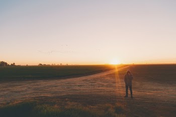 Free Photo of people, man, guy