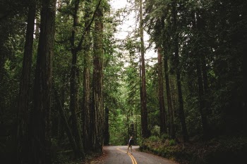 Free Photo of people, man, travel