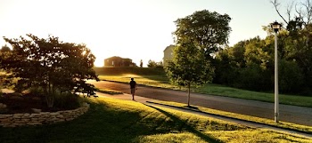 Free Photo of people, man, walking