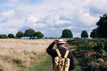Free Photo of people, man, walking