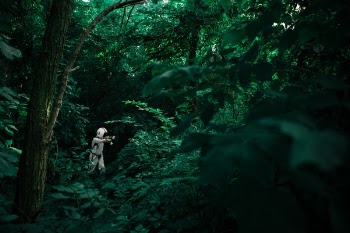 Free Photo of people, man, woods