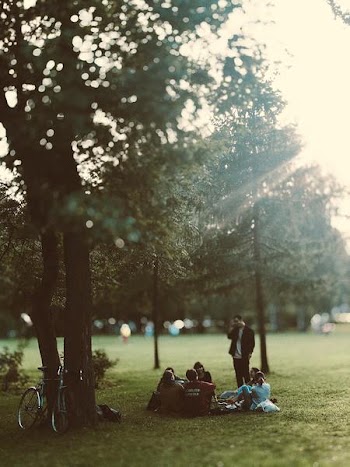 Free Photo of people, meeting, park